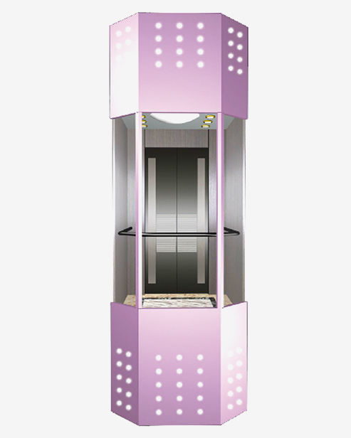 Observation Elevator Car Dekoration F-G19 Optional